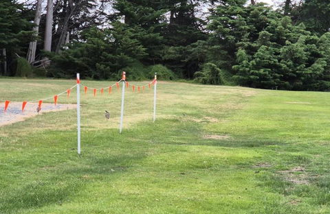BIG4 Kelso Sands Holiday & Native Wildlife Park - Lennox Head Accommodation 1