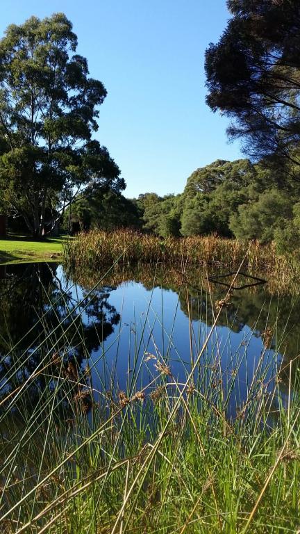 Crystal Springs Holiday Accommodation - Lennox Head Accommodation 0