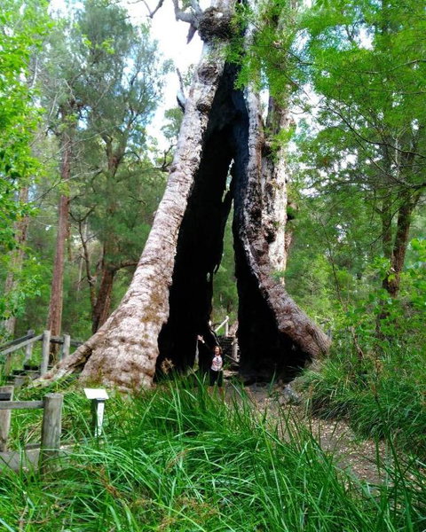 Crystal Springs Holiday Accommodation - Lennox Head Accommodation 3