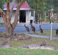31 The Rocks - Lennox Head Accommodation