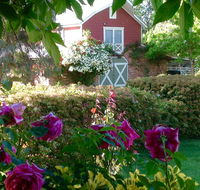 A Country Barn Retreat - Lennox Head Accommodation