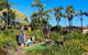 Discovery Parks - Ballina - thumb 2
