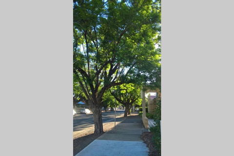 Gawler Heritage Accommodation - Lennox Head Accommodation 1