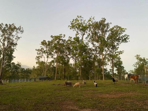 Gemmas Animal Farm By Tiny Away - Lennox Head Accommodation 1