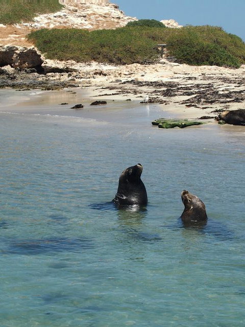 Anchorage Guest House And Self-contained Accommodation - Lennox Head Accommodation 3