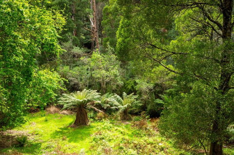 Millers Rest - Lennox Head Accommodation 3