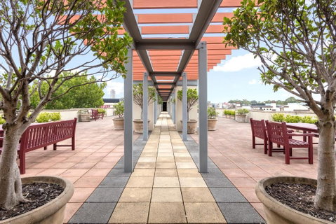 Nesuto Chippendale - Lennox Head Accommodation 0