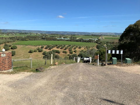Pedlar Creek Tiny House By Tiny Away - Lennox Head Accommodation 2