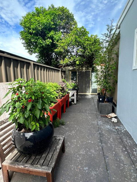 Private, Local Living Studio In Mascot, Airport - Lennox Head Accommodation 2