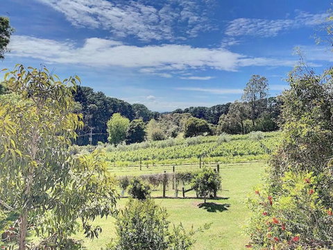 Red Hill Lane 5BedroomVineyard&RuralValleyViews - Lennox Head Accommodation 3