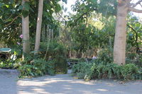 Book Macclesfield Accommodation Vacations Lennox Head Accommodation Lennox Head Accommodation