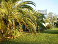 Book Winton Accommodation Vacations Lennox Head Accommodation Lennox Head Accommodation