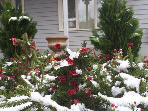 Barton Mill At Marysville - Lennox Head Accommodation 1