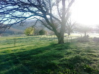 Book Mongans Bridge Accommodation Vacations Lennox Head Accommodation Lennox Head Accommodation