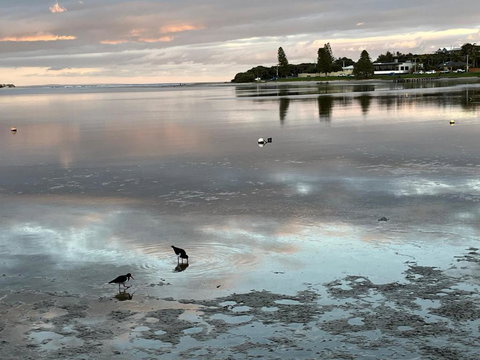 River Studio - Idyllic Location - Lennox Head Accommodation 0