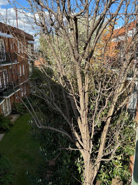 Regents Gate East Melbourne - Lennox Head Accommodation 1