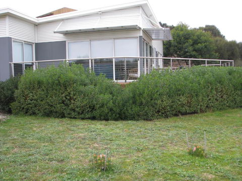 Sandbar Beach House - Lennox Head Accommodation 3