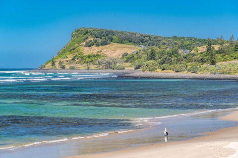Sandy Feet - Lennox Head Accommodation 3