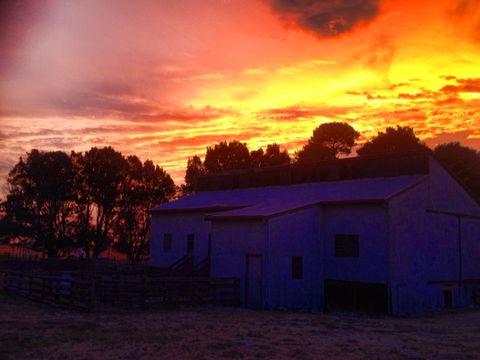 Beggs Farmstay B&B - Lennox Head Accommodation 1