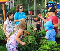 Book Lemon Tree Passage Accommodation Vacations Lennox Head Accommodation Lennox Head Accommodation