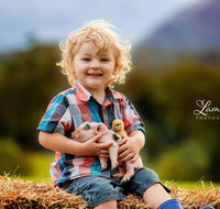 Blackwattle Farm - Lennox Head Accommodation