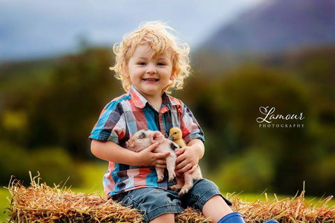 Blackwattle Farm - Lennox Head Accommodation 0