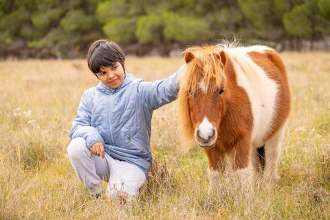 The Little Grove Retreat By Tiny Away - Lennox Head Accommodation 3