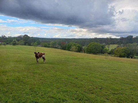 Maison De Lavande Farmstay - Lennox Head Accommodation 1
