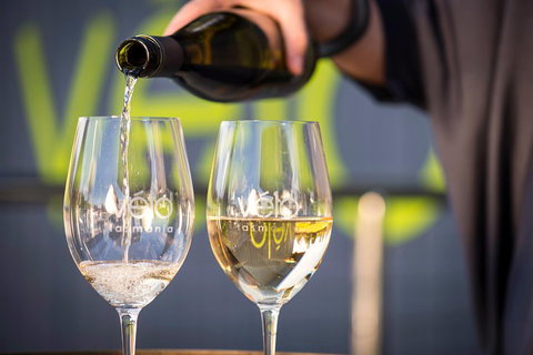 Half Day Tamar Valley Wine Tour - Lennox Head Accommodation 0