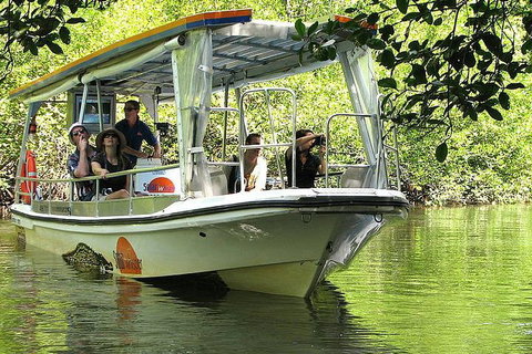 5-Day Best Of Cairns With Daintree, Kuranda, And Great Barrier Reef - Lennox Head Accommodation 1