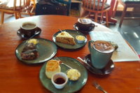 Book Viator Accommodation Vacations Lennox Head Accommodation Lennox Head Accommodation