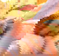 Massage relaxation Deep Tissue Whole Bodysports Etc.by Male Therapist - Lennox Head Accommodation