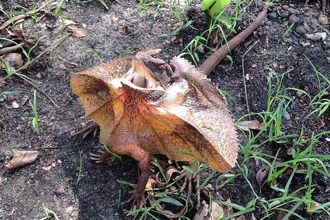 Litchfield National Park And Jumping Crocodile Cruise - Lennox Head Accommodation 1