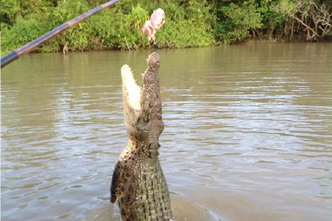 Litchfield National Park And Jumping Crocodile Cruise - Lennox Head Accommodation 2