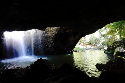 Rainforest & Waterfalls Extravaganza - Lennox Head Accommodation 0