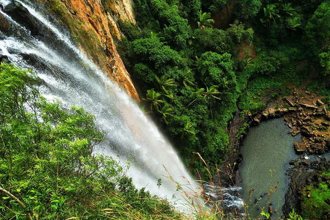 Rainforest & Waterfalls Extravaganza - Lennox Head Accommodation 1