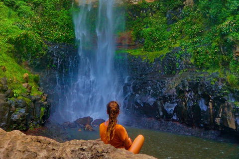 Rainforest & Waterfalls Extravaganza - Lennox Head Accommodation 2