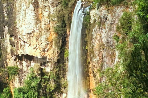 Rainforest & Waterfalls Extravaganza - Lennox Head Accommodation 3