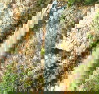 Private Tour - Rainforest  Waterfalls Extravaganza - Lennox Head Accommodation