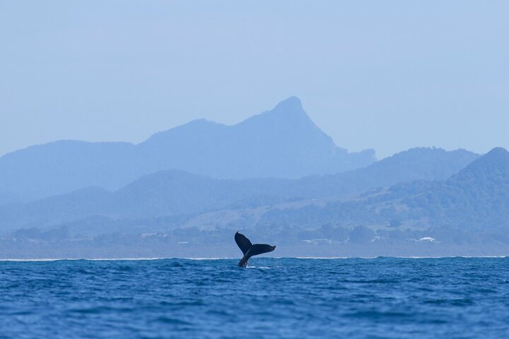 Lennox Head Accommodation