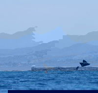 The Byron Bay Sea Kayak Tour - Lennox Head Accommodation