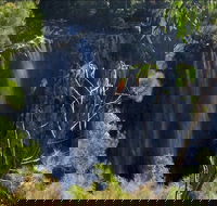 Byron Bay Hinterland Tour Including Rainforest Walk to Minyon Falls - Lennox Head Accommodation