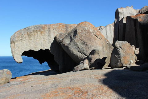 Kangaroo Island Personal Group Tours - Lennox Head Accommodation 2