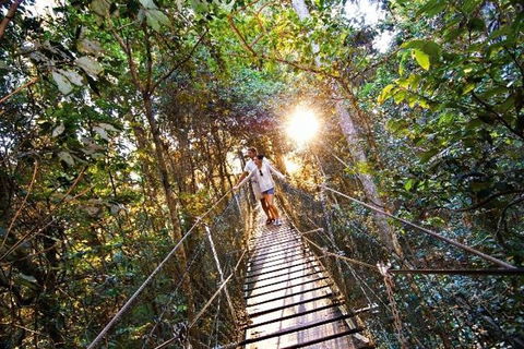 O'Reilly's & Lamington National Park From Brisbane - Lennox Head Accommodation 5
