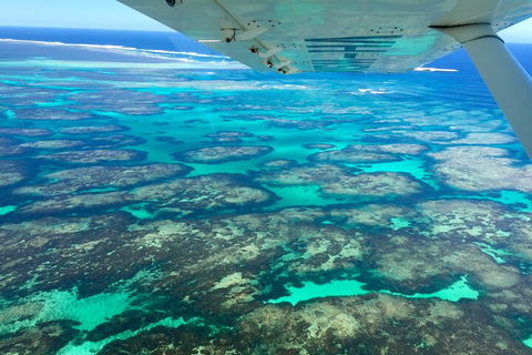 Kalbarri, Pink Lake And Abrolhos Islands Nature Tour - Lennox Head Accommodation 5