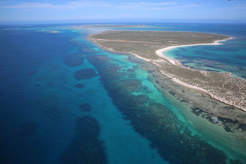 Pink Lake + Abrolhos Islands Scenic Flight - Lennox Head Accommodation 0