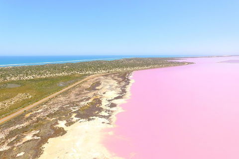 Pink Lake + Abrolhos Islands Scenic Flight - Lennox Head Accommodation 4