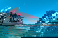 Best of Moreton Bay Cruise, Brisbane