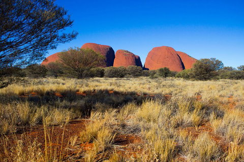 Kata Tjuta Sunrise And Valley Of The Winds Half-Day Trip - Lennox Head Accommodation 1
