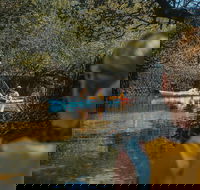 Kayak Tour in Adelaide Dolphin Sanctuary - Lennox Head Accommodation